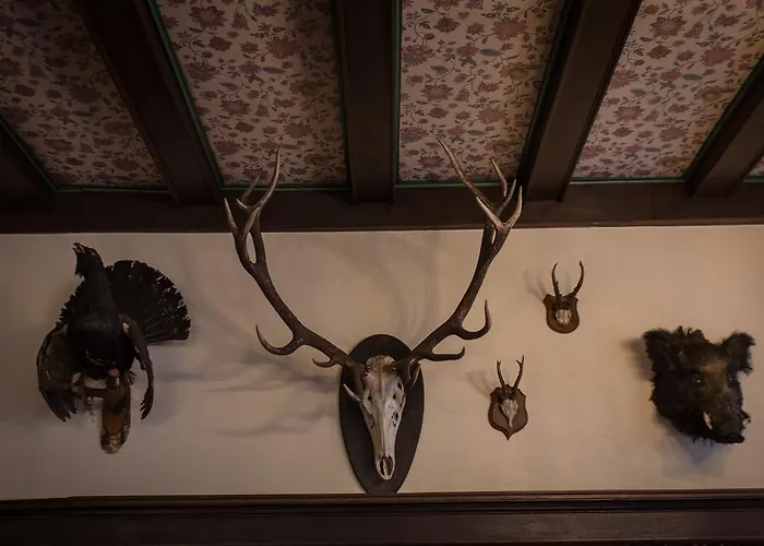 Alte Thorschenke コッヘム