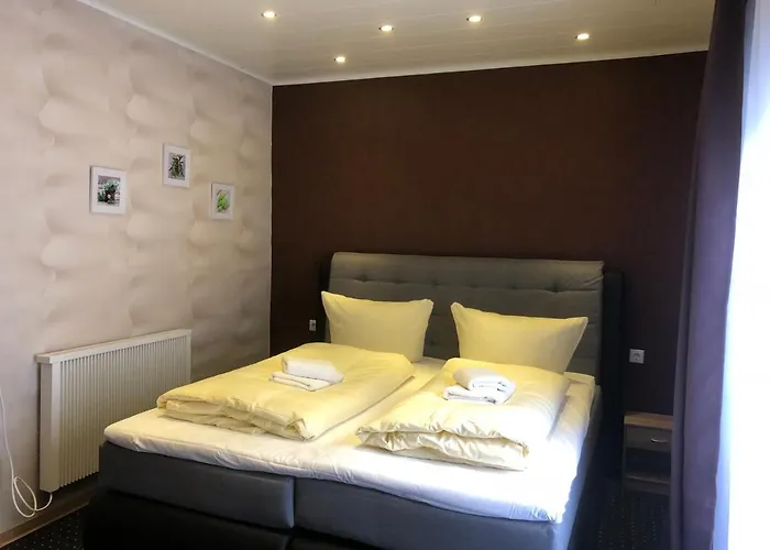 ホテル Alte Thorschenke コッヘム